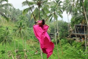 Ubud: Wasserfälle, Reisterrasse & Bali Swing, Private Tour