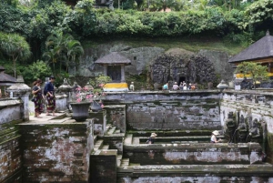 Ubud: Waterfalls,Rice Terrace & Monkey Forest Private Tours