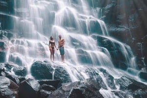 Ubud: cascate e tempio con terrazza di riso - Tour privato