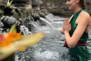 Ubud: cascate e tempio con terrazza di riso - Tour privato