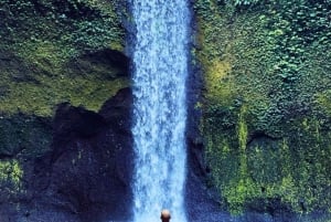 Ubud: cascate e tempio con terrazza di riso - Tour privato