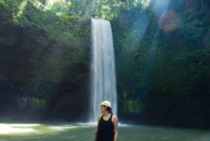 Ubud: cascate e tempio con terrazza di riso - Tour privato