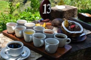 Ubud: cascate e tempio con terrazza di riso - Tour privato