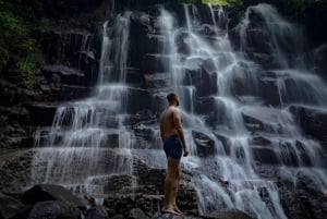 Ubud: wodospady i świątynia z tarasami ryżowymi – wycieczka w małej grupie