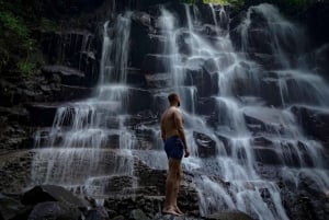 Ubud: Waterfalls & Temple with Rice Terrace Small-Group Tour