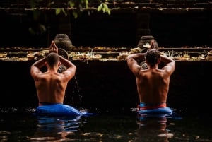 Ubud: Waterfalls & Temple with Rice Terrace Small-Group Tour