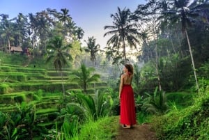 Ubud: Waterfalls & Temple with Rice Terrace Small-Group Tour