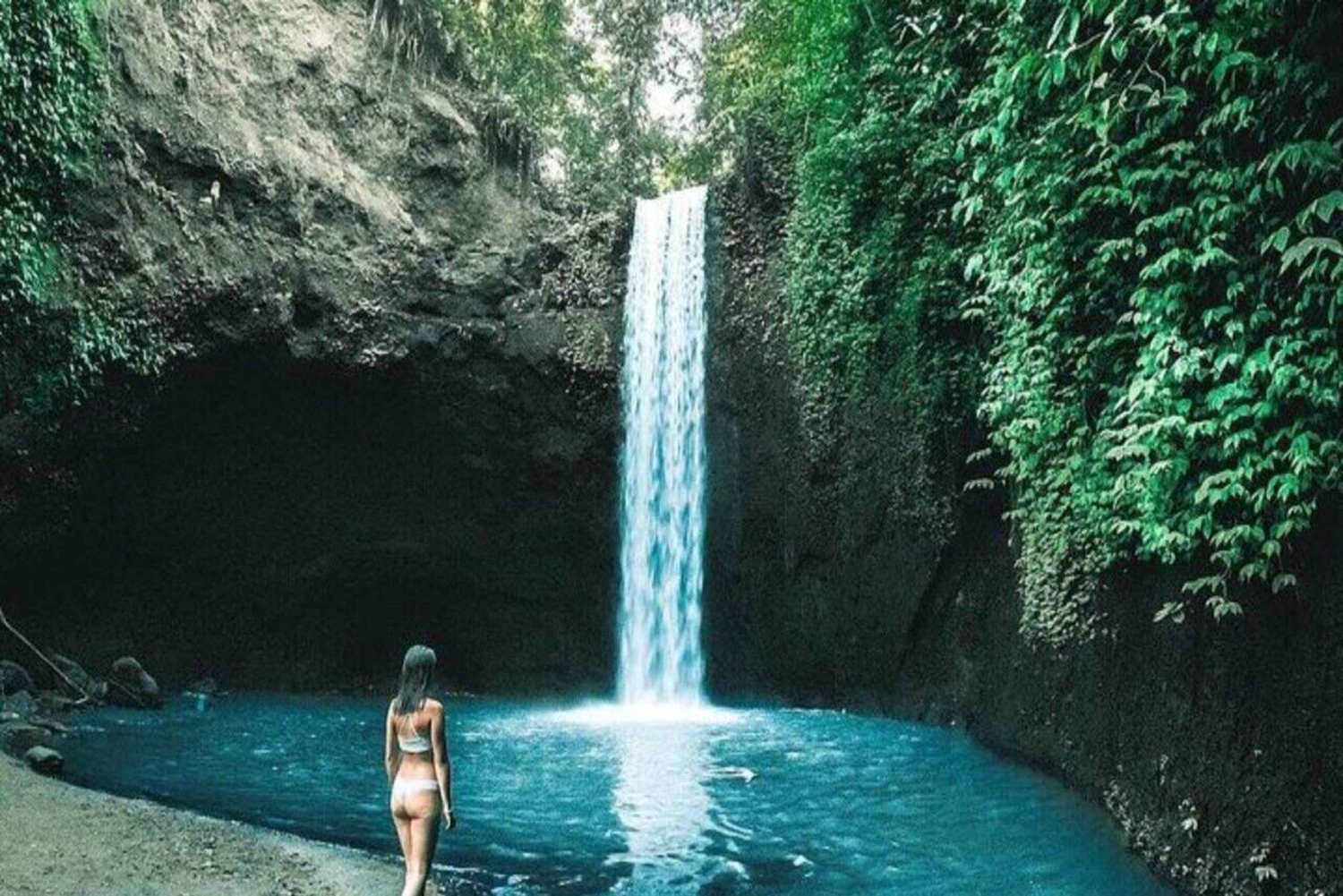 Ubud Waterfalls ,Tirta Mpul Temple ,With Rice Terrace Tour
