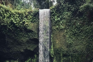 Ubud Waterfalls ,Tirta Mpul Temple ,With Rice Terrace Tour