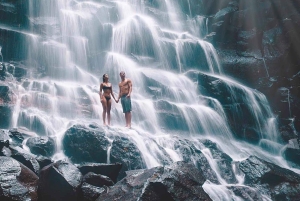 Ubud Waterfalls ,Tirta Mpul Temple ,With Rice Terrace Tour
