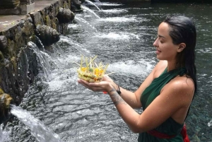 Ubud Waterfalls ,Tirta Mpul Temple ,With Rice Terrace Tour