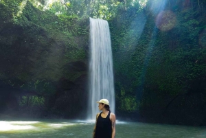 Ubud Waterfalls ,Tirta Mpul Temple ,With Rice Terrace Tour