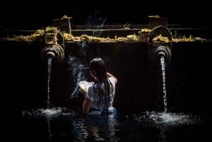 Убуд: водопады, храм воды и лес обезьян (групповой тур)