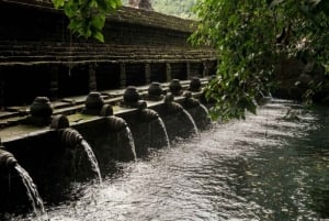 Ubud: Watervallen, Watertempel & Rijstterrassen privétour