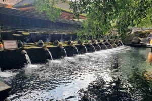 Ubud: Watervallen, Watertempel & Rijstterrassen privétour