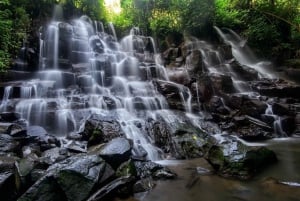 Ubud: Watervallen, Watertempel & Rijstterrassen privétour