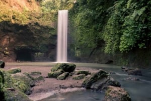 Ubud: Watervallen, Watertempel & Rijstterrassen privétour