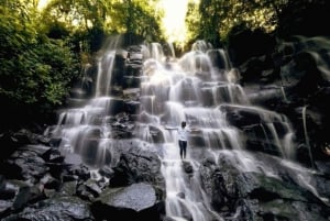 Ubud: Watervallen, Watertempel & Rijstterrassen privétour