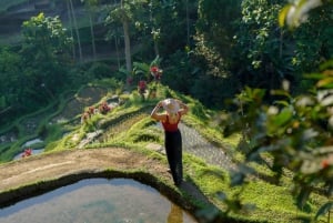 Ubud: Tour privato delle cascate, del tempio dell'acqua e delle terrazze di riso