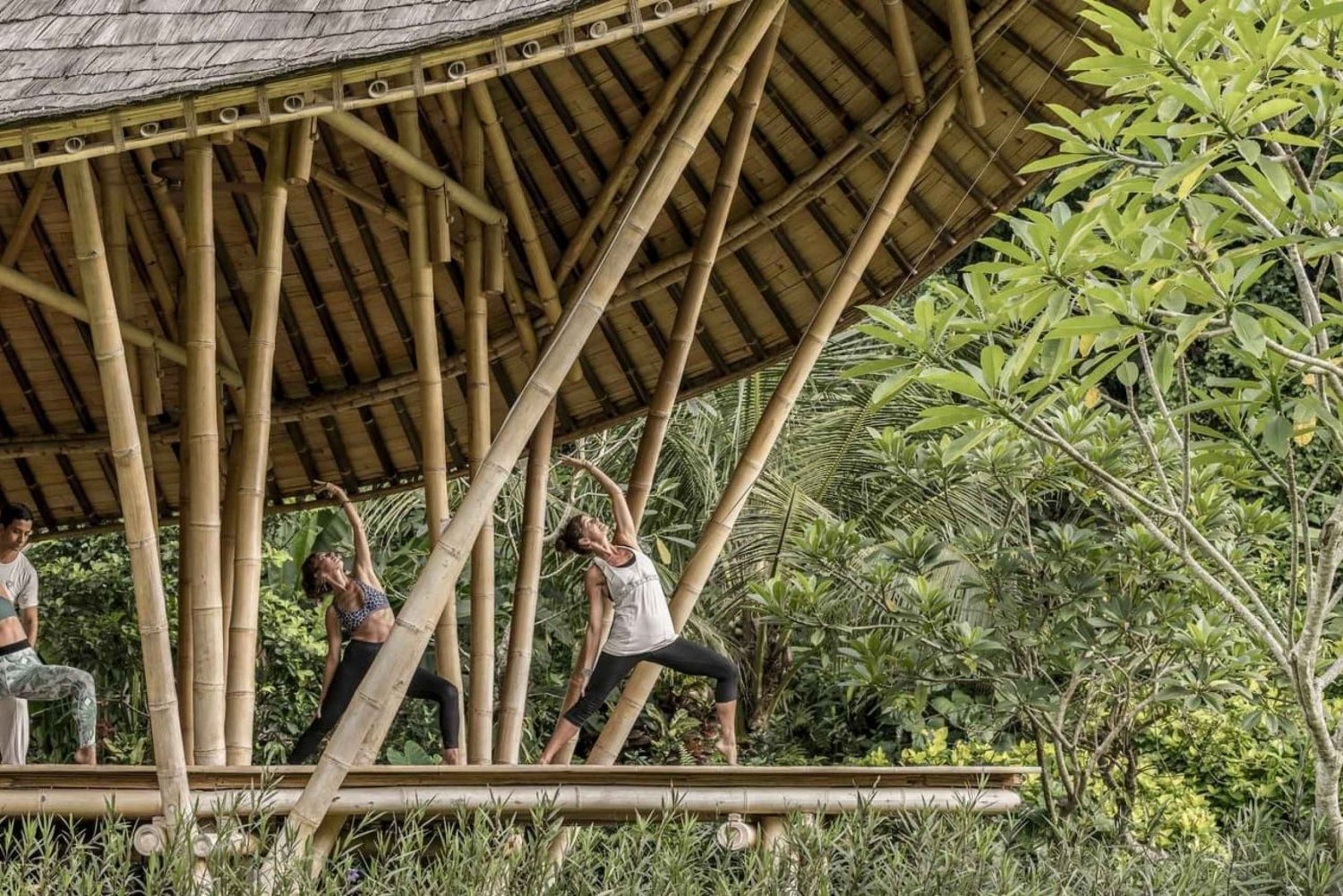 Ubud: Wellness Retreat with Massage, Yoga Class, and Lunch