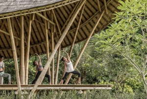 Ubud: Wellness Retreat with Massage, Yoga Class, and Lunch