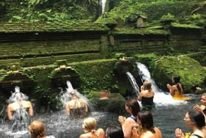 Ubud: Wellness Retreat with Massage, Yoga Class, and Lunch