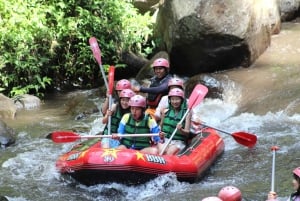 Ubud Rafting in acque bianche con pranzo