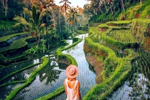 Ubud: Przygoda na tyrolce, spływ rzeką i wycieczka po tarasach ryżowych