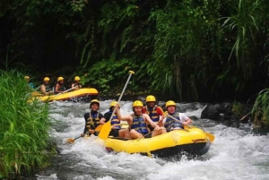 Ubud: Zip-line Avontuur, Rivier Raften & Rijstterrassen Tour