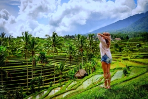 Ubud: Zip-line Avontuur, Rivier Raften & Rijstterrassen Tour