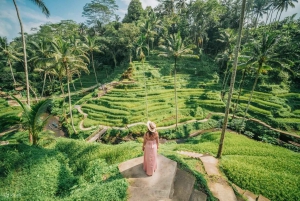Ubud: Zip-Line, Sacred Temple, and Monkey Forest Tour