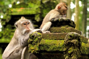 Ubud: Zip-Line, Sacred Temple, and Monkey Forest Tour