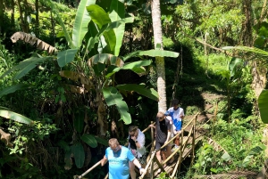 Ubud Zipline Swing SkyBike in Bali Rice Terrace Wycieczka prywatna