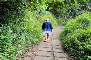 Ubud's Campuhan Ridge Walk: A Self-Guided Audio Tour