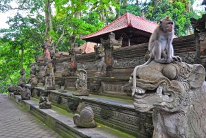 Ubud's Hidden Jewels: Spectacular Waterfalls Exploration