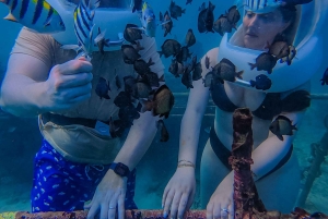 究極のバリ島アドベンチャー：ジェットスキー、パラセーリング、シーウォーカーをお楽しみください