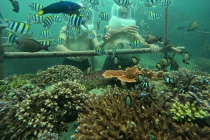 究極のバリ島アドベンチャー：ジェットスキー、パラセーリング、シーウォーカーをお楽しみください