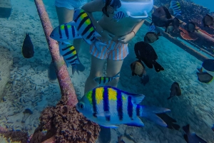 究極のバリ島アドベンチャー：ジェットスキー、パラセーリング、シーウォーカーをお楽しみください