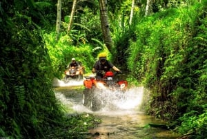 Ultimate Ubud ATV Quad Bike and Rafting Expedition
