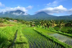 Visite privée de Ulun Danu Beratan, Jatiluwih et Tanah Lot