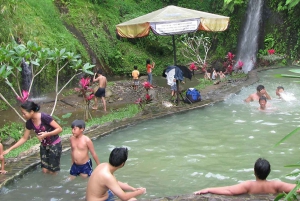 Visite privée de Ulun Danu Beratan, Jatiluwih et Tanah Lot