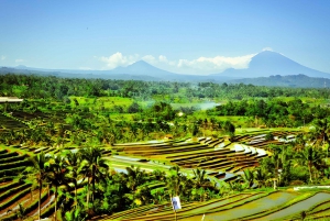 Visite privée de Ulun Danu Beratan, Jatiluwih et Tanah Lot