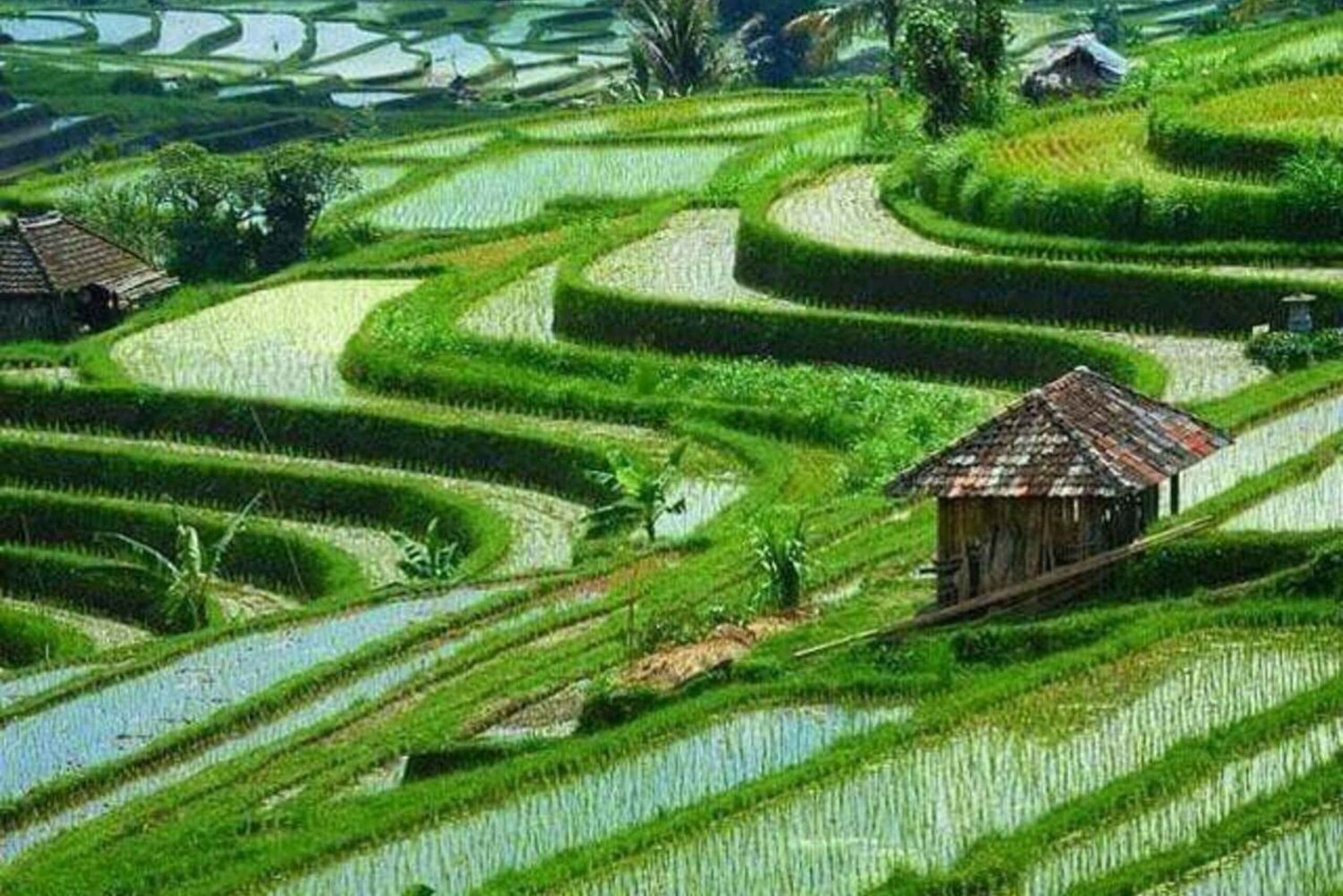 Ulun Danu Beratan-tempelet, Jatiluwih, Banyumala-fossen