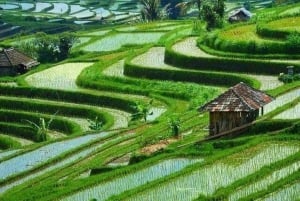 Bali: Ulun Danu Meer, Handara Poort, Waterval & Rijstterras