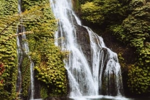 Bali: Ulun Danu Meer, Handara Poort, Waterval & Rijstterras