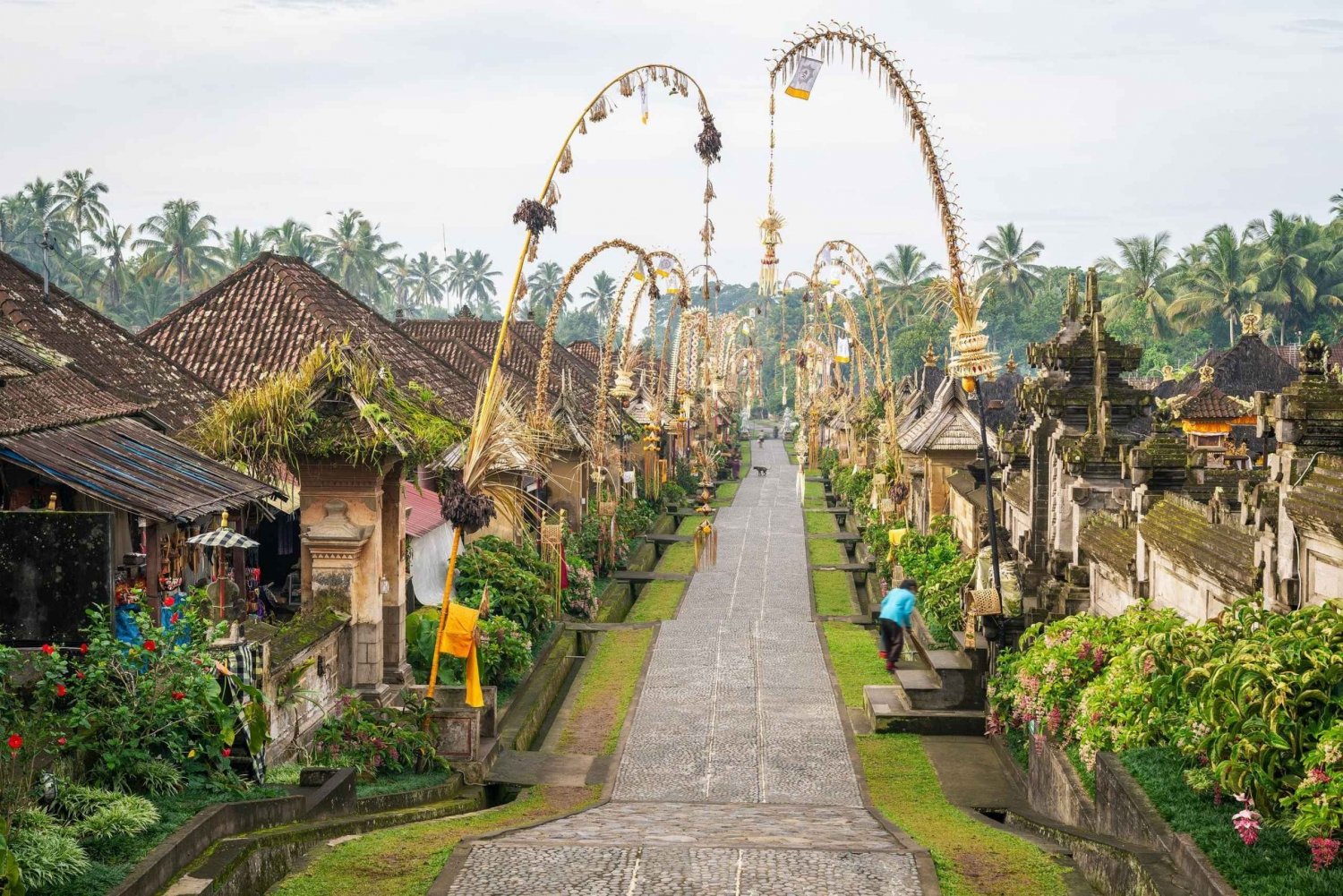Unveiling Ubud, Penglipuran Village, and Bali Safari