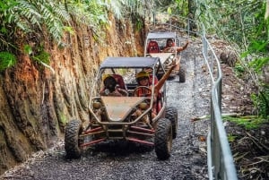 Aventure en Buggy UTV à Bali - Des sensations fortes au cœur de la nature