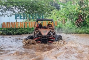 Aventure en Buggy UTV à Bali - Des sensations fortes au cœur de la nature