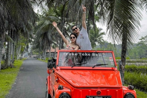 Vintage Volkswagen jeep custom tour