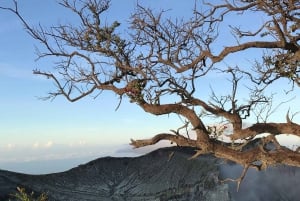 Vulkane og fosseventyr: 3 dager fra Java til Bali